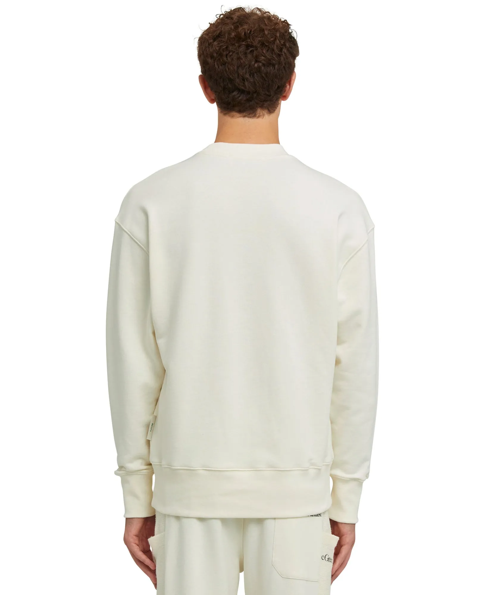 Felpa Girocollo In Cotone Organico Della Capsule Fantastic Green^MSGM Shop