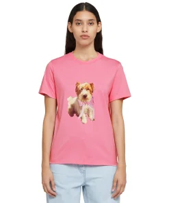 T-Shirt Girocollo In Cotone Con Stampa^MSGM Online